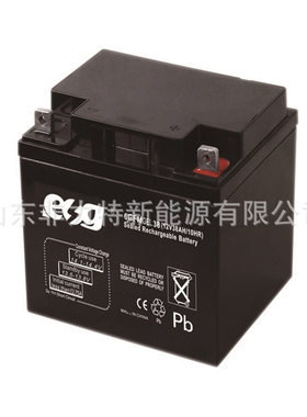 蓄电池6GFM38 12V38AH/10HR高低压配电柜 直流屏 EPS电源
