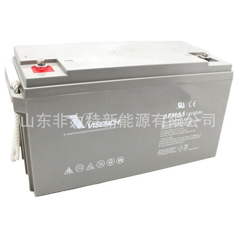 VISION蓄电池6FM50电池12V50AH机房 配电柜 UPS/EPS电源配套