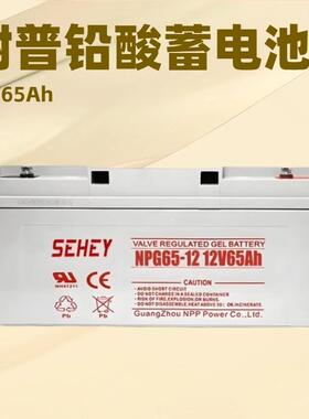 NPP耐普太阳能蓄电池 100AH胶体12V电池6H 免维护光伏SEHEY电池
