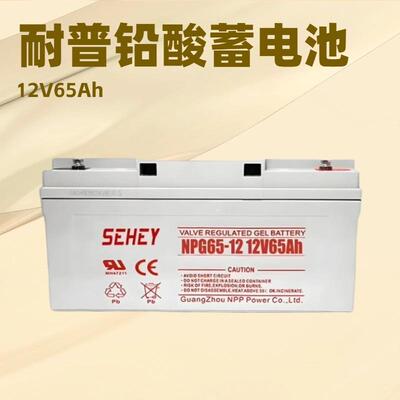 NPP耐普太阳能蓄电池 100AH胶体12V电池6H 免维护光伏SEHEY电池