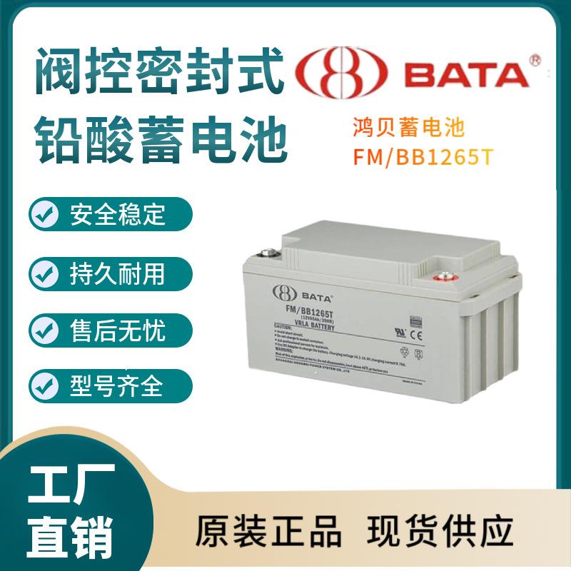 FM/BB1265T 12V65AH 电动车辆  通信系统  信号系统