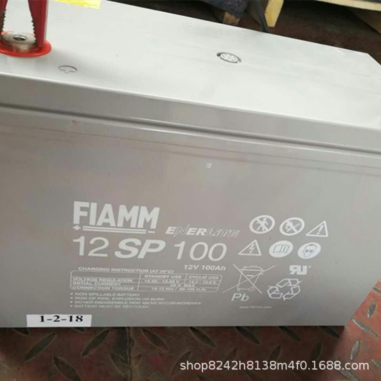 意大利FIAMM非凡铅酸12v100ah12SP100蓄电池UPS太阳能电瓶