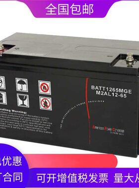 APC铅酸免维护蓄电池M2AL12V系列UPS EPS 直流屏 消防 太阳能电源