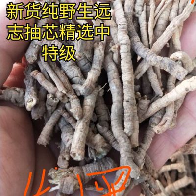 抽芯野生远志山西道地药材安神益智正品货250克纯干精选无硫无杂