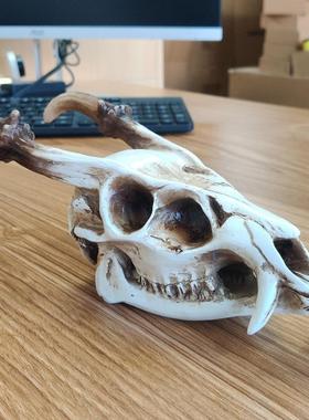 复古仿真立体山羊头骨摆件书房酒吧派对维京哥特风桌面动物装饰品