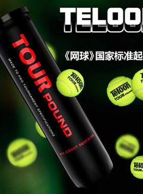 TELOON天龙网球POUND专业比赛球成人专用训练球网球配件P4桶装
