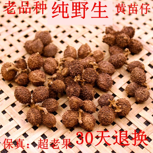 250g纯野生阳春老品种黄苗仔春砂仁古法火焙老春砂仁干货食疗煲汤