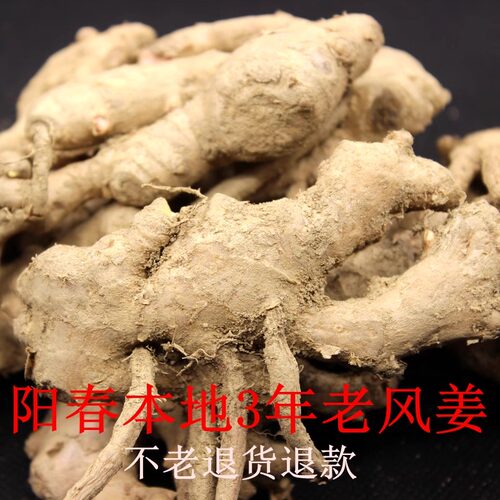阳春老风姜采挖老品种母风姜坐月子姜老姜驱寒新鲜三年老风姜特产