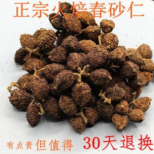 春砂仁正宗阳春春砂仁农户精选砂仁老果500g野生火焙黄苗仔春砂仁