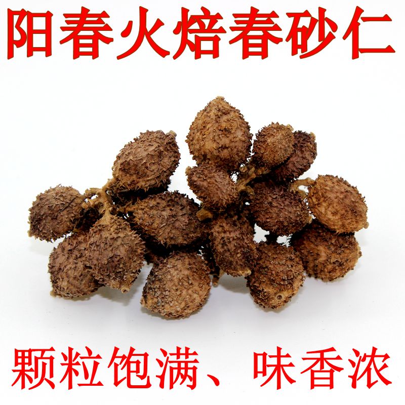 正宗火焙春砂仁大红果250g阳春本地特产春砂仁中药材老果砂仁养胃