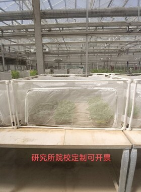 100目六面全封闭育苗网罩养虫养殖箱观察网箱防虫网箱养虫笼定做