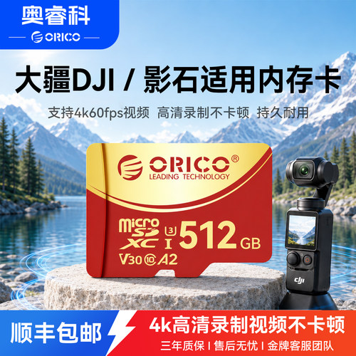 奥睿科大疆pocket适用内存卡
