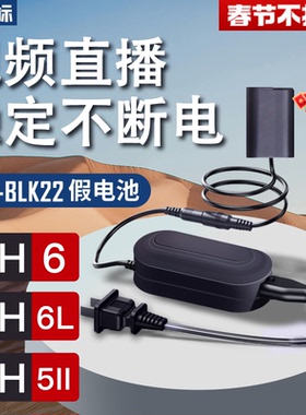沣标DMW-BLK22假电池外接电源适用松下S9 DC-G9M2 S5 S5M2 S5IIX S5M2X GH6 GH6L GH5II GH7单反相机数码视频