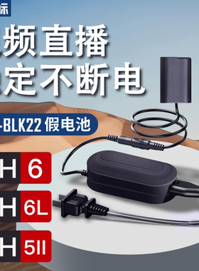 沣标DMW-BLK22假电池外接电源适用松下S9 DC-G9M2 S5 S5M2 S5IIX S5M2X GH6 GH6L GH5II GH7单反相机数码视频
