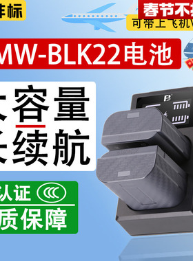 沣标DMW-BLK22相机电池适用松下S9 DC-G9M2 DC-S5 S5M2 S5II S5IIX S5M2X GH6 GH6L GH5II GH7充电器单反配件