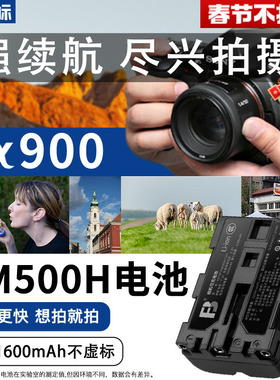 沣标FM500H电池适用于索尼A99M2 A900 A350 A77M2 A99 A550  A58 A65 A100 A200 A580单反相机A57 659 FM30