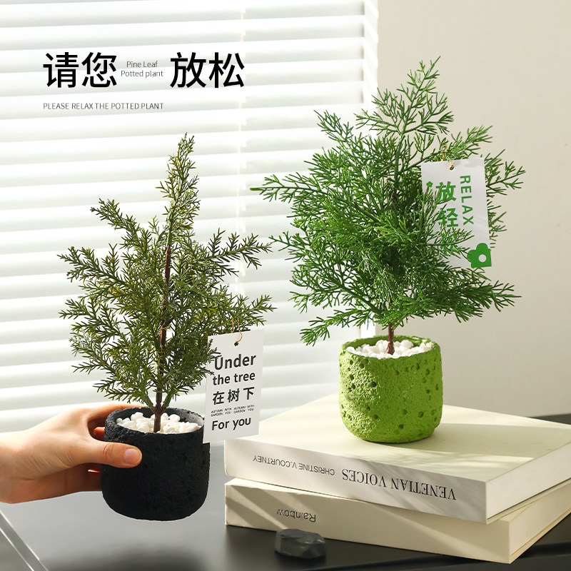植柏树松树盆栽摆件场景装饰品图片