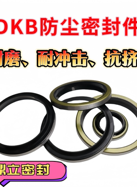 DKB外铁壳防尘油封内径100/105/110/112/115/120/125/130/135/140