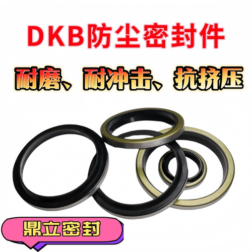 DKB外铁壳防尘油封内径100/105/110/112/115/120/125/130/135/140