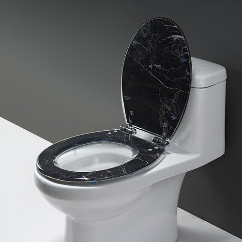 黑色树脂快拆缓冲静音座圈马桶盖