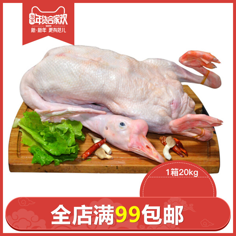 农家笨大鹅新鲜皖西散养大白鹅肉皖西白条鹅整箱20KG