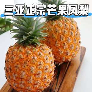 海南三亚树上熟芒果凤梨正宗好吃当季新鲜采摘水果顺丰无需泡盐水