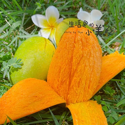 海南鸡蛋芒果椰香芒绿皮青皮芒新鲜水果5斤8斤顺丰/京东快递