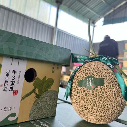 牛3蜜瓜超甜多汁内蒙古新鲜水果