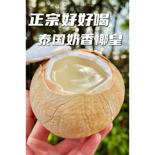 泰国正宗奶香椰皇新鲜现摘现发孕妇水果椰子蛋小奶香椰顺丰快递