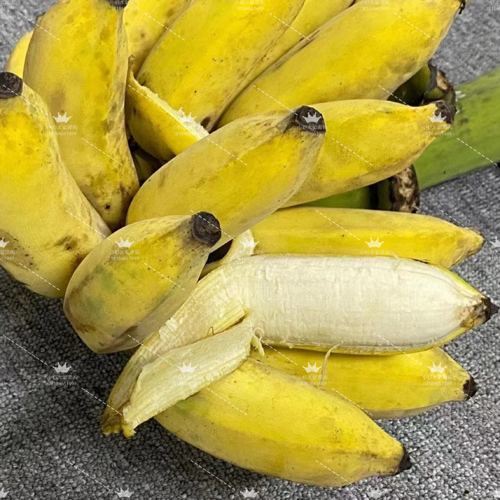 海南五指山芭蕉软糯香甜香蕉纯天然生长当季新鲜采摘水果,水产肉类/新鲜蔬果/熟食,香蕉,淘宝优惠券,粉丝福利购,淘宝优惠卷