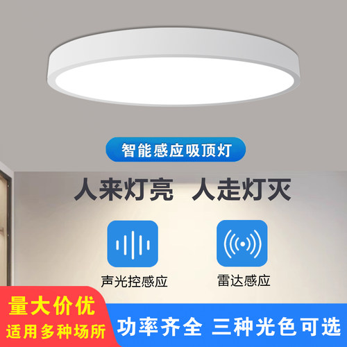 大功率全尺寸声控雷达感应吸顶灯