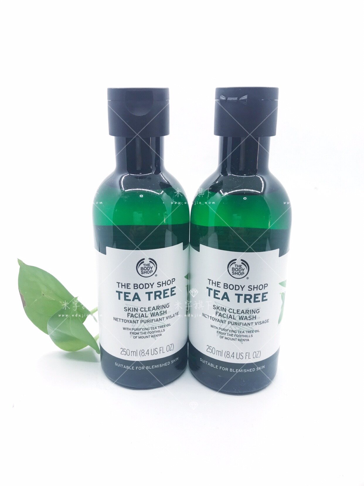 新版TheBodyShop美体小铺TBS茶树洁面胶250ML/400ML控油祛痘洗面