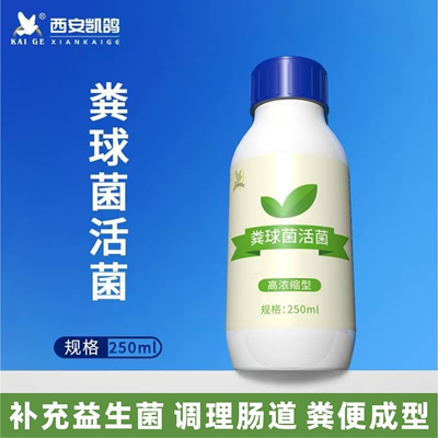 凯鸽粪球菌活菌调理肠道粪便