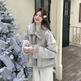 新款好数据大货图仿皮毛一体外套送包包275-W183-P195-K278，女装棉衣/棉服，柒柒家