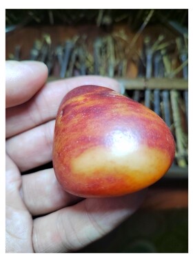 玛丽艳艳红皮羊脂玉籽料原石，新疆和田美玉，密度2.98
