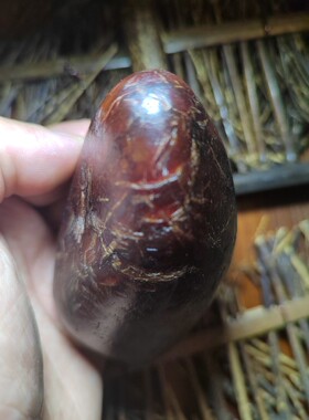 鸡血沁竹节碧玉籽料原石，奇葩红玉籽料，密度2.99新疆和田玉籽料