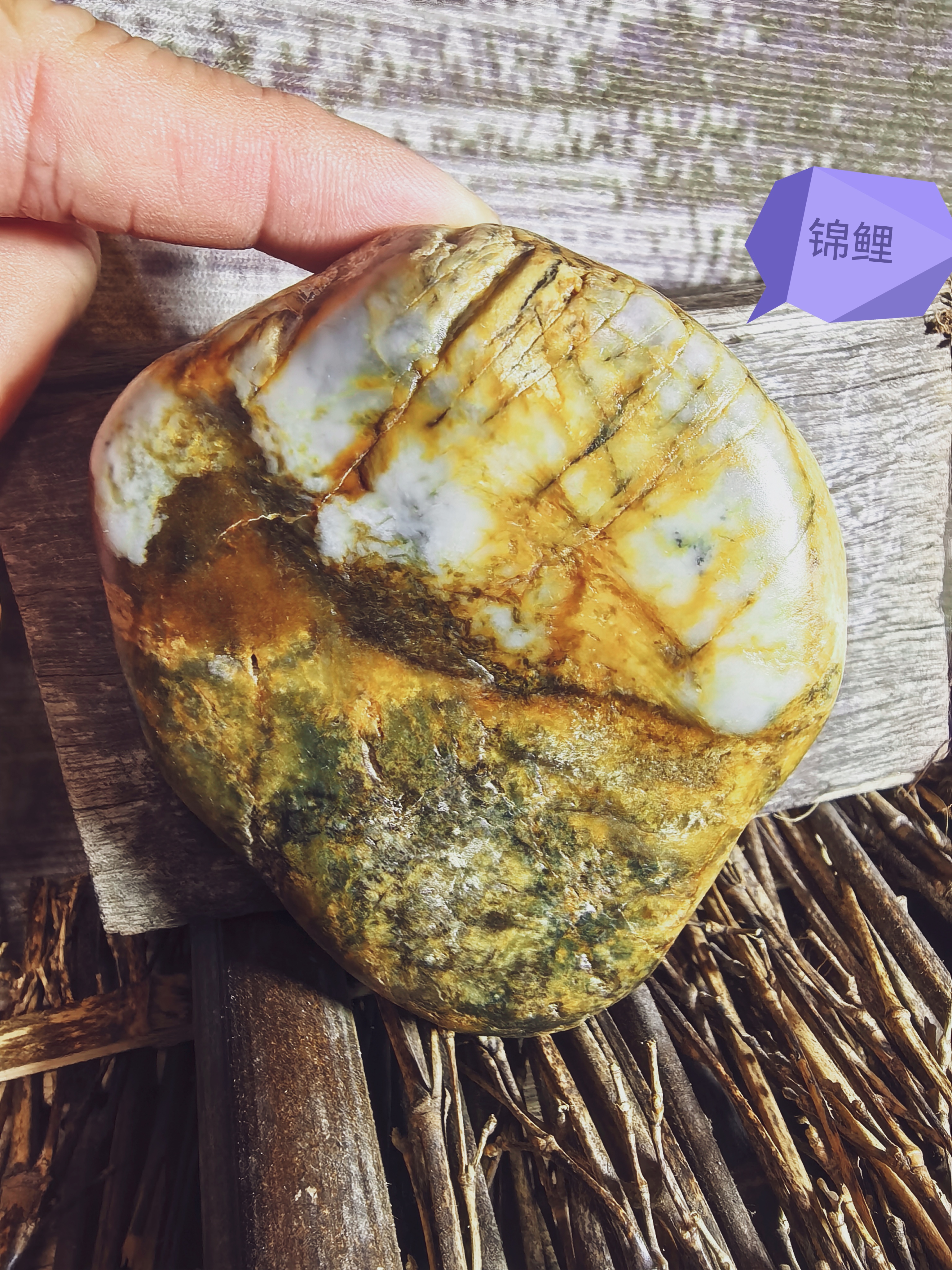 天然三色带油黄籽料原石320克,办公室小摆件随手把玩件锦鲤闹莲