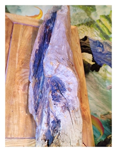 海南黎母山白奇楠,雷击奇楠树心油3.03公斤沉水老料沉香特征明显