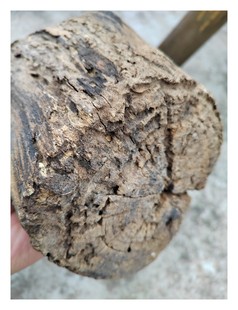 奇楠沉香雷击木,海南黎母山很多年前收购木头摆件香韵蜜香凉厚重