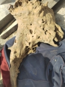 海南崖香奇楠沉香铁沉沉水3.57公斤 沉香龙头香油筋犹如龙筋