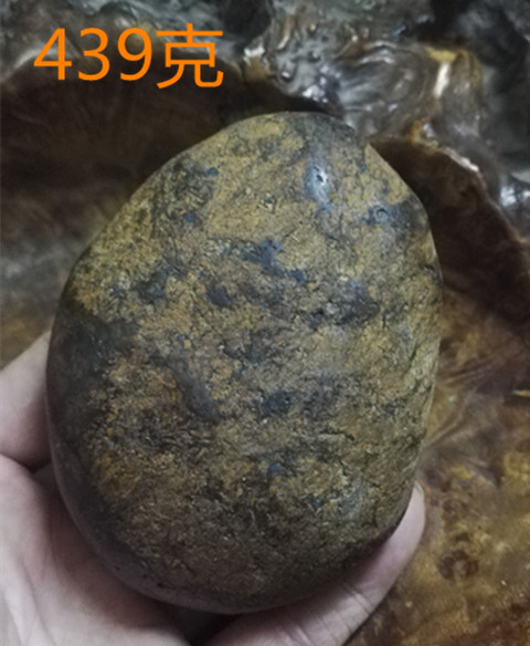 万年黑皮黄皮和田玉黄玉籽料红玉籽料墨玉籽料羊脂白玉原石籽料