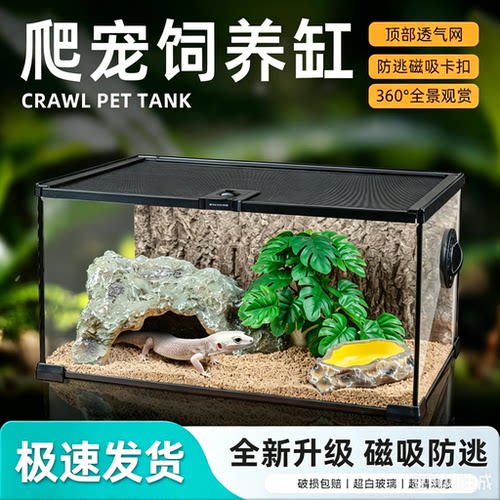 爬宠缸全透生态缸饲养箱盒雨林缸鱼守宫乌龟蛇宠物饲养缸观赏缸