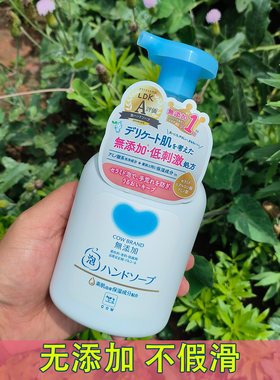 全家用无添加日本进口泡沫洗手液