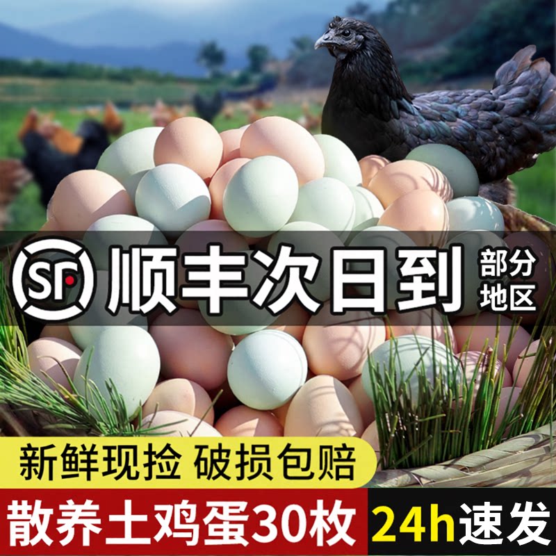 正宗散养无抗土鸡蛋顺丰次日达图片