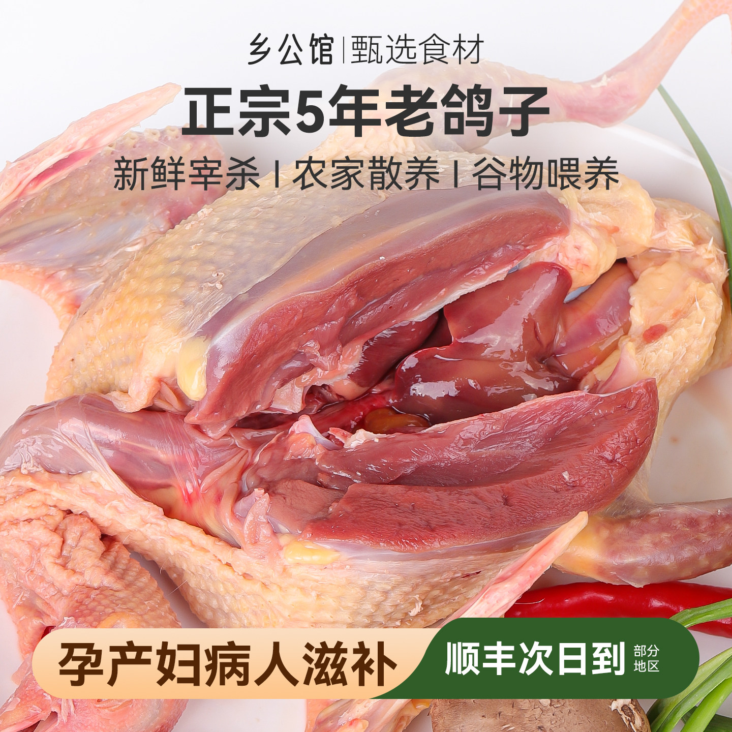 鸽子新鲜现杀正宗农家散养土鸽子生鲜鸽子肉炖汤礼盒装5年老鸽子