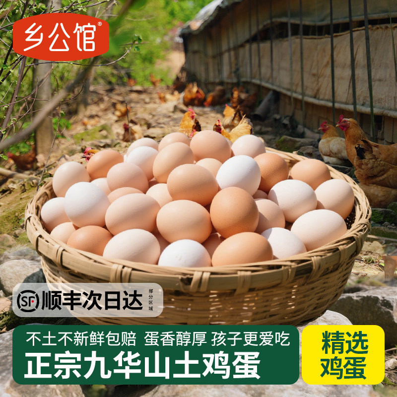 纯农家散养九华山土鸡蛋真正农村草鸡蛋新鲜笨鸡蛋无抗笨鸡蛋生鲜,水产肉类/新鲜蔬果/熟食,鸡蛋,淘宝优惠券,粉丝福利购,淘宝优惠卷