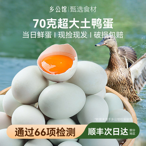 【顺丰次日到】新鲜70g超大鸭蛋