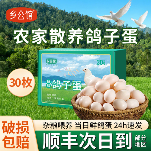 鸽子蛋新鲜30枚顺丰包邮