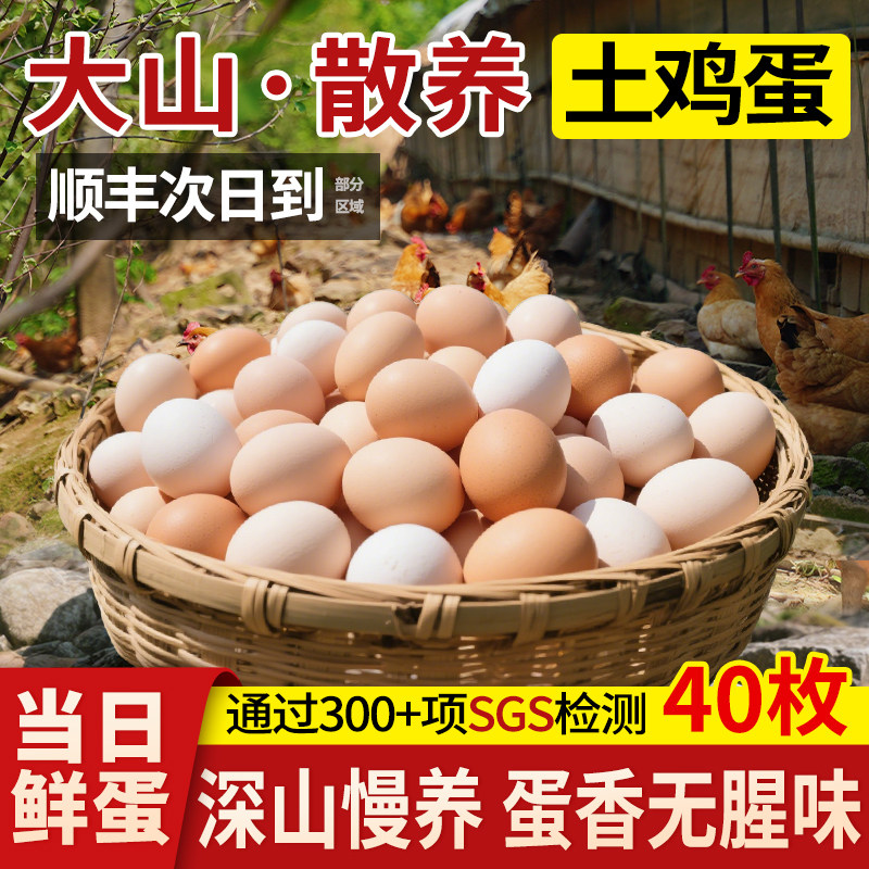 乡公馆正宗大山土鸡蛋农家散养新鲜谷物草鸡蛋农村真正柴鸡蛋生鲜