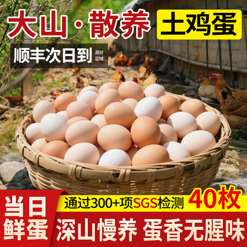 正宗深山散养土鸡蛋好吃无腥味